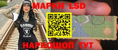 индика Кандалакша