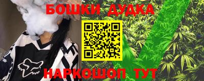 индика Кандалакша