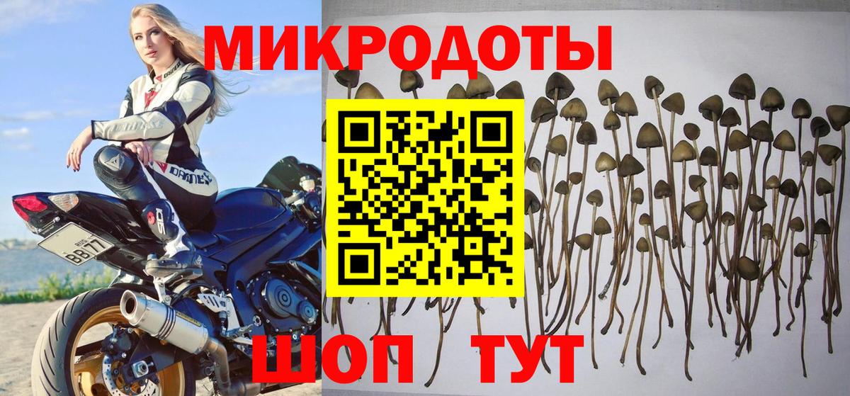 Псилоцибиновые грибы прущие грибы Ялта