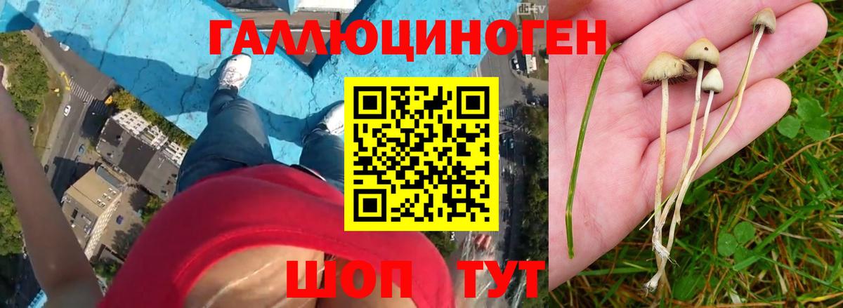 Ялта  Псилоцибиновые грибы Psilocybine cubensis  Галлюциногенные грибы Psilocybe  Вход с VPN 